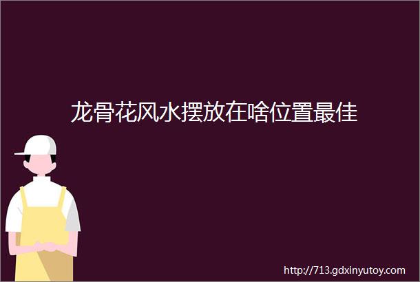 龙骨花风水摆放在啥位置最佳